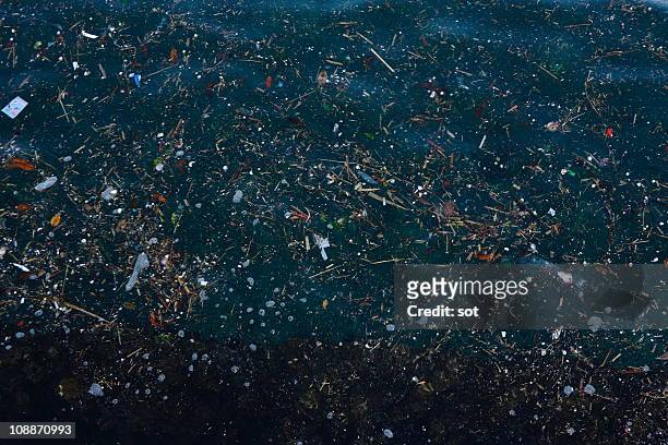 garbage floating on the surface of sea - océano pacífico fotografías e imágenes de stock