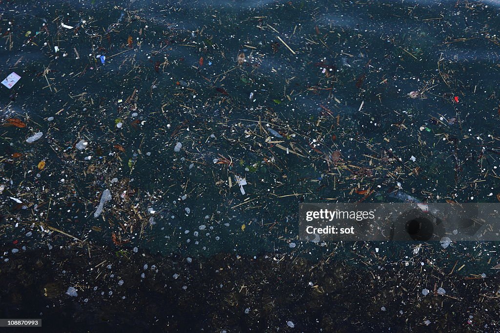 Garbage floating on the surface of sea