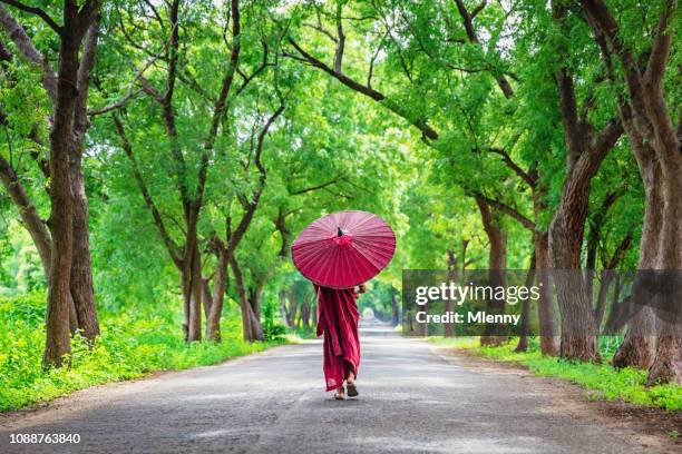 myanmar burma mönch grüne gasse entlang - buddha stock-fotos und bilder
