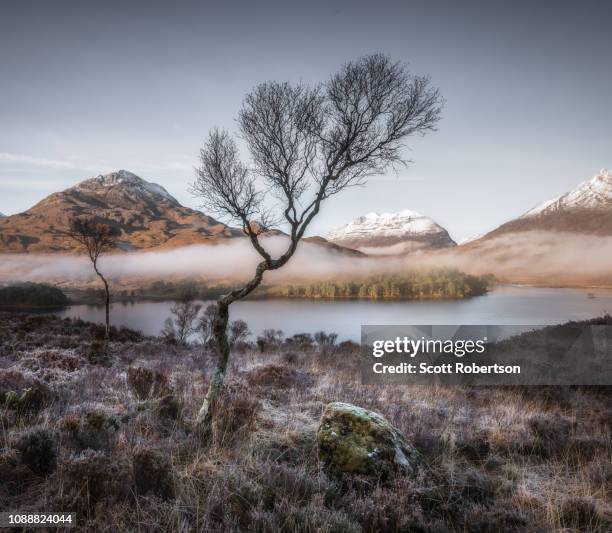 loch clair, torridon - see loch duich stock-fotos und bilder