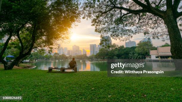 public park - northpark stock pictures, royalty-free photos & images