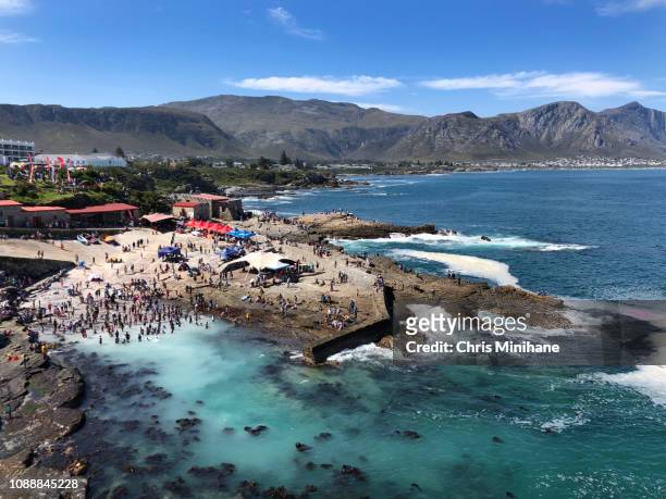 beach shot of people in hermanus during the whale festival cape town south africa - hermanus stock pictures, royalty-free photos & images