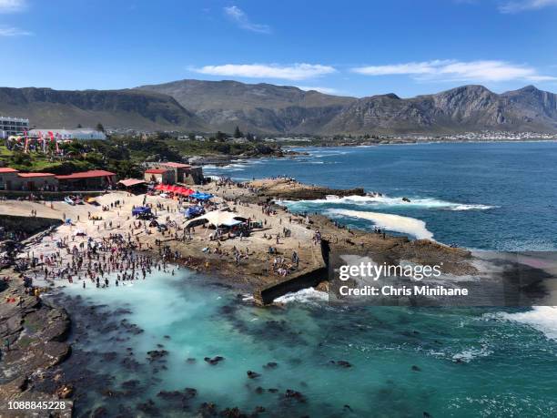 beach shot of people in hermanus during the whale festival cape town south africa - hermanus bildbanksfoton och bilder