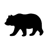 Bear silhouette. Vector illustration