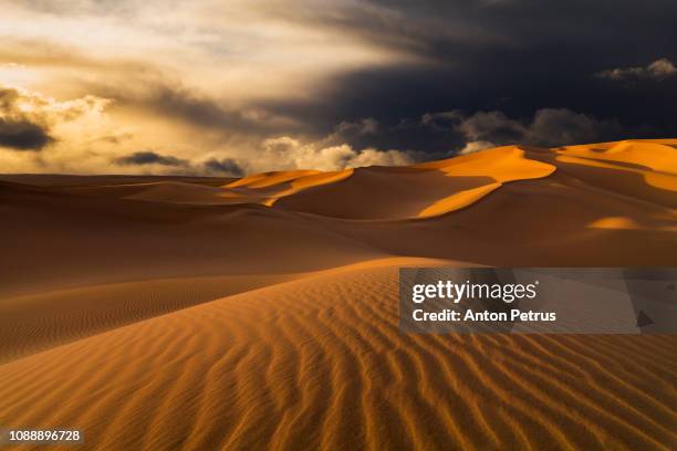 sand dunes in the desert at sunset - dubai sunset desert stock pictures, royalty-free photos & images