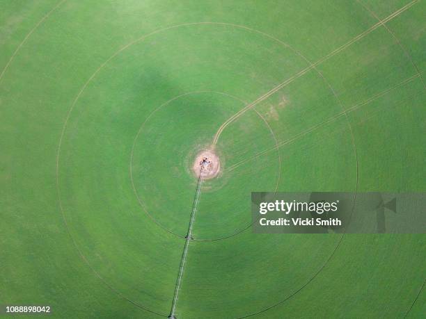 aerial view of australian agricultural farm land - kornkreis stock-fotos und bilder