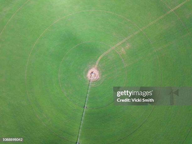 aerial view of australian agricultural farm land - graancirkel stockfoto's en -beelden