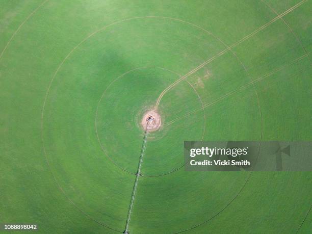 aerial view of australian agricultural farm land - círculo nas plantações - fotografias e filmes do acervo