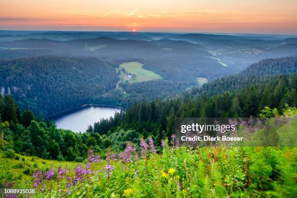 view from feldberg mountain to lake feldsee, sunrise, black forest, baden-wuerttemberg, germany - black forest germany stock pictures, royalty-free photos & images