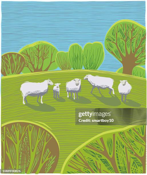 stockillustraties, clipart, cartoons en iconen met platteland scène met schapen - lammetjes