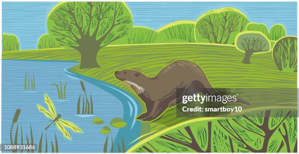 countryside scene with otter - pond stock illustrations