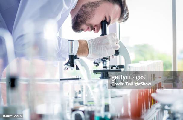 scientists man working and look in to microscope in lab - bacteria cultures stock pictures, royalty-free photos & images