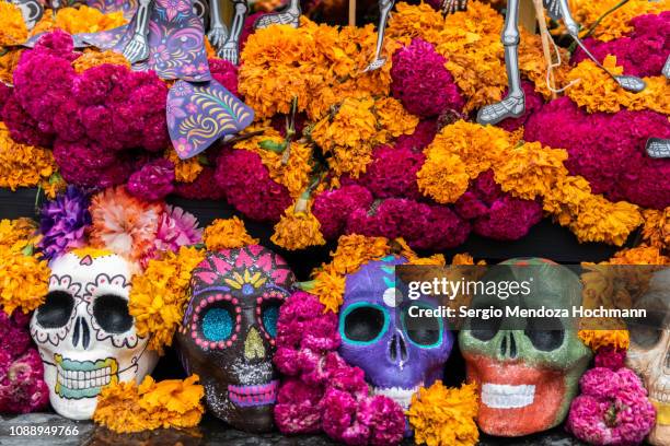 aztec marigold flowers - or cempasúchil - and skulls in day of the dead celebrations altar decorations - mexico city, mexico - ciudad de méxico stock-fotos und bilder