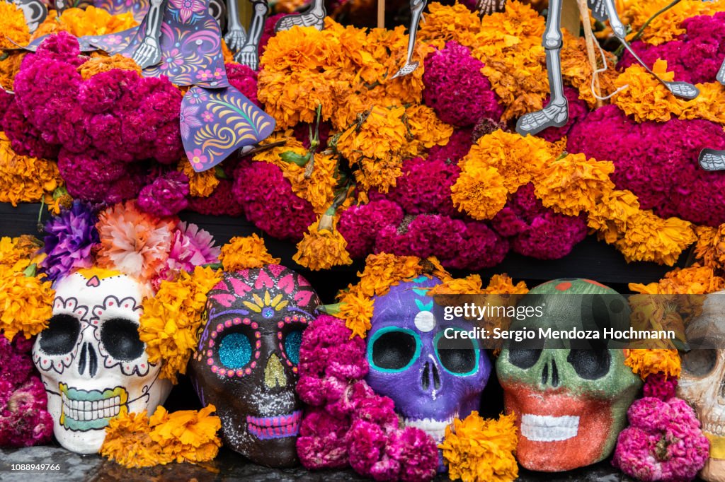 Aztec Marigold flowers - or cempasúchil - and skulls in Day of the Dead celebrations altar decorations - Mexico City, Mexico