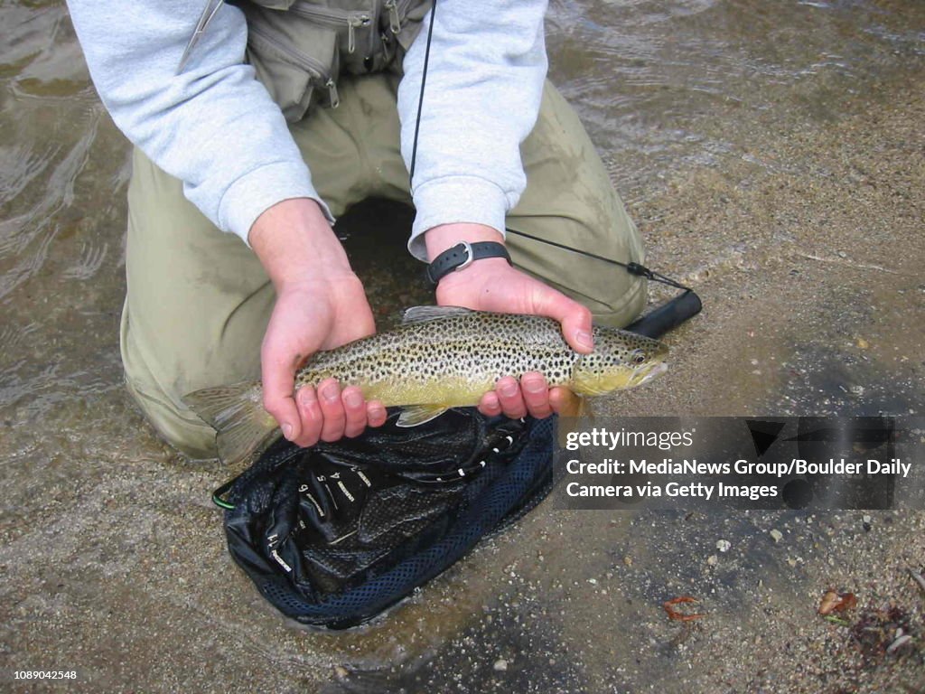 Daily Camera Archives