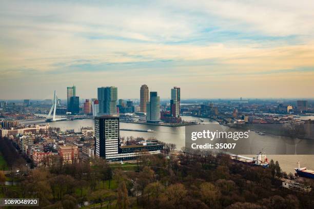 rotterdam skyline, netherlands - rotterdam skyline stock pictures, royalty-free photos & images