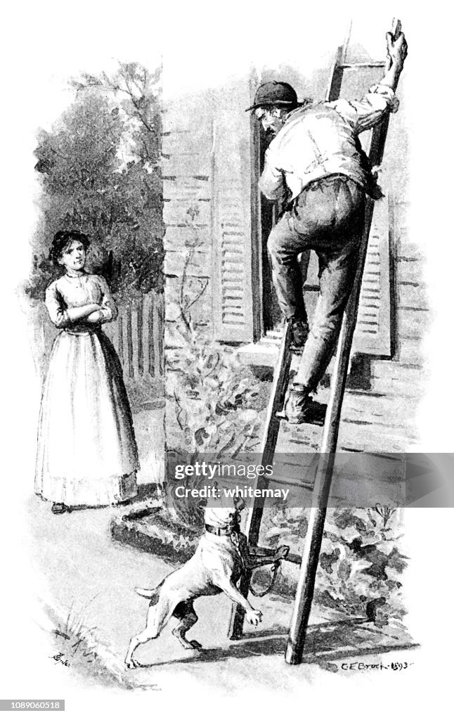 Dog terrorising a man up a ladder