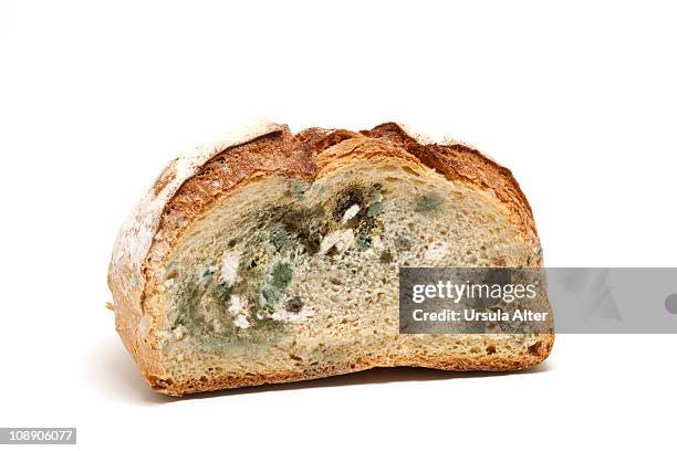 moulded bread - moldy bread stock pictures, royalty-free photos & images