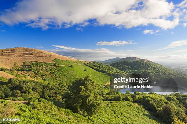 the malvern hills; worcestershire; cotswolds - worcestershire stock pictures, royalty-free photos & images