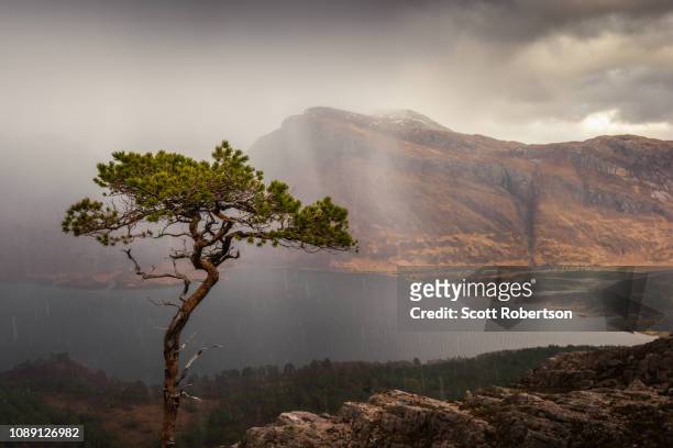 beinn eighe nature reserve, loch maree, torridon. - nature reserve stock pictures, royalty-free photos & images