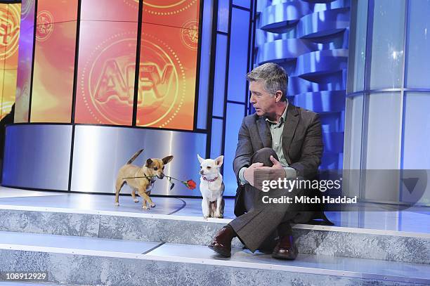 Episode 2113" - "AFHV" goes to the dogs when the canine stars of "Beverly Hills Chihuahua 2" stop by for a visit with Tom Bergeron. Video highlights...