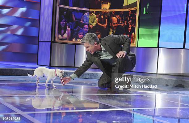 Episode 2113" - "AFHV" goes to the dogs when the canine stars of "Beverly Hills Chihuahua 2" stop by for a visit with Tom Bergeron. Video highlights...