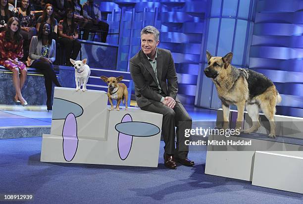 Episode 2113" - "AFHV" goes to the dogs when the canine stars of "Beverly Hills Chihuahua 2" stop by for a visit with Tom Bergeron. Video highlights...