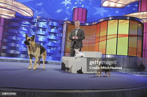 Episode 2113" - "AFHV" goes to the dogs when the canine stars of "Beverly Hills Chihuahua 2" stop by for a visit with Tom Bergeron. Video highlights...