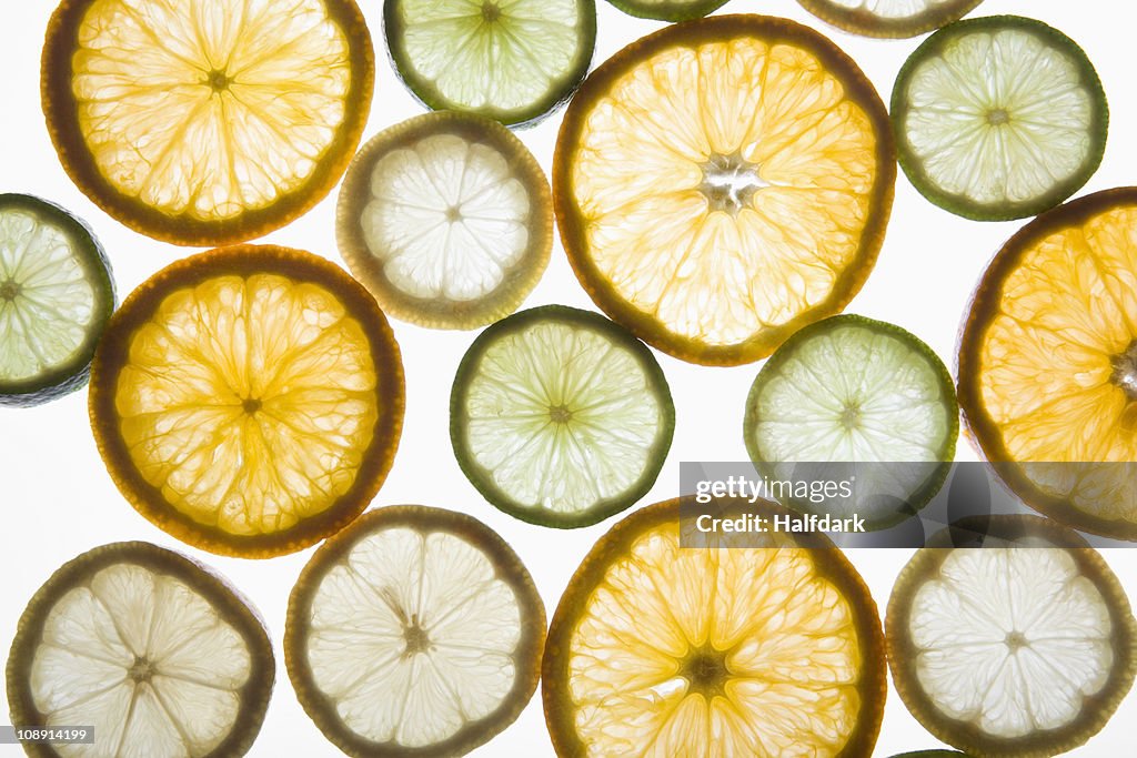 Sliced citrus fruits on a lightbox