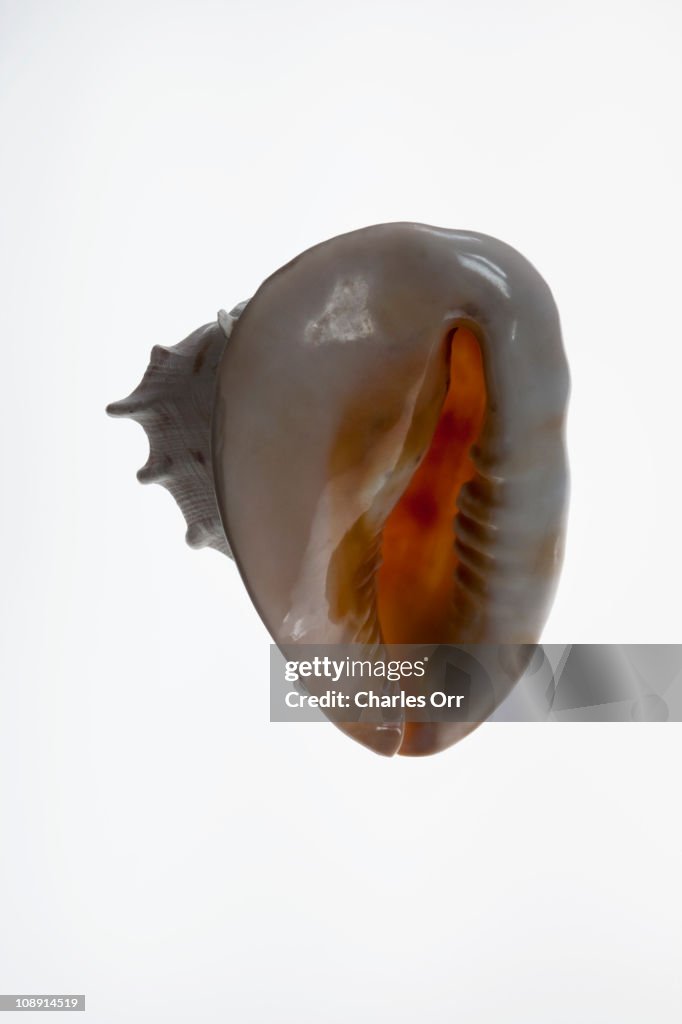 The aperture of a helmet shell