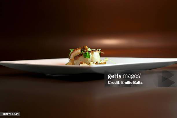 pan seared scallop on a plate - gourmet stock pictures, royalty-free photos & images