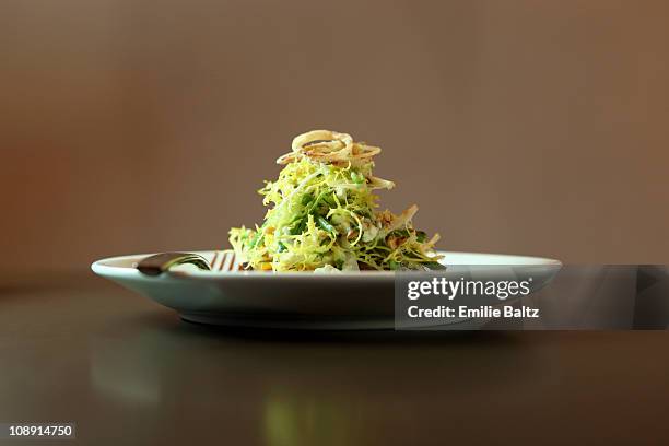 a salad garnished with fried onions - prato de comida imagens e fotografias de stock