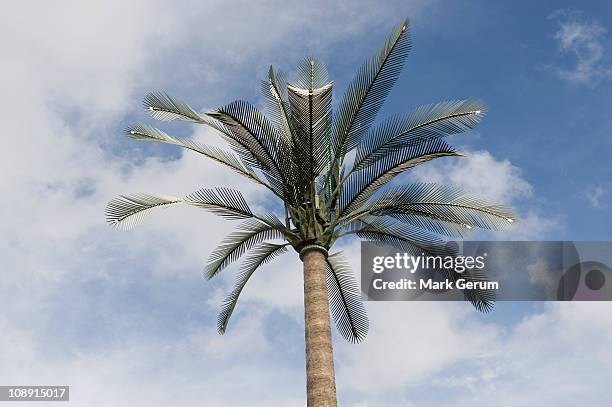 cellular repeater tower disguised as a palm tree - repeater stock pictures, royalty-free photos & images