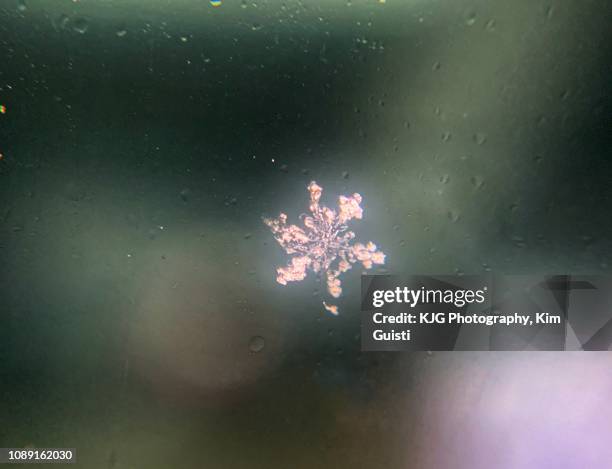 Snowflake Mircoscope Snowflakes Microscope Photos and Premium High Res Pictures - Getty Images