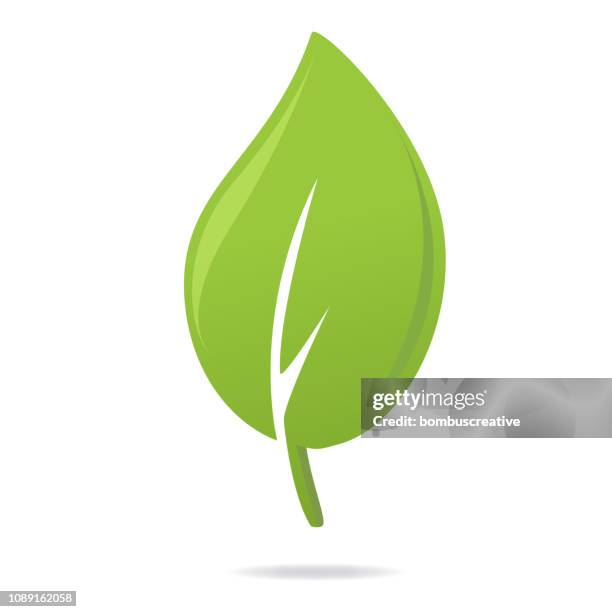 ilustrações de stock, clip art, desenhos animados e ícones de green leaf icon - chá colheita