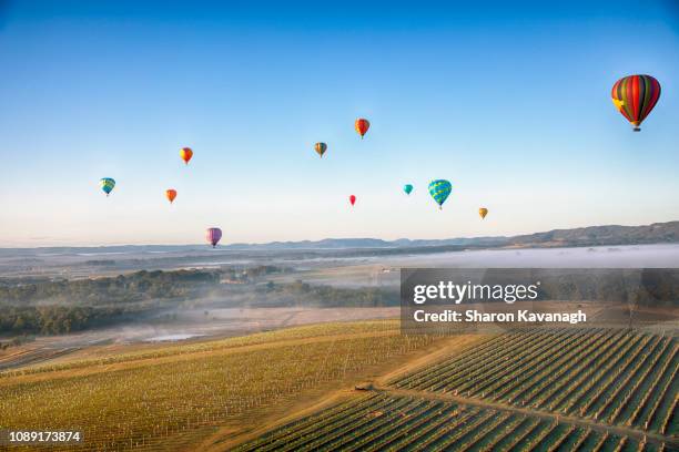 ballooning over the hunter valley - hunter valley stock pictures, royalty-free photos & images
