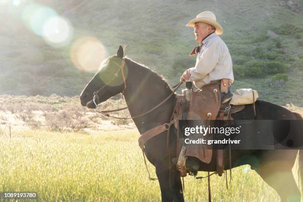 elderly cowboy on his horse in the mountains with a sunburst behind him - lariat stock pictures, royalty-free photos & images