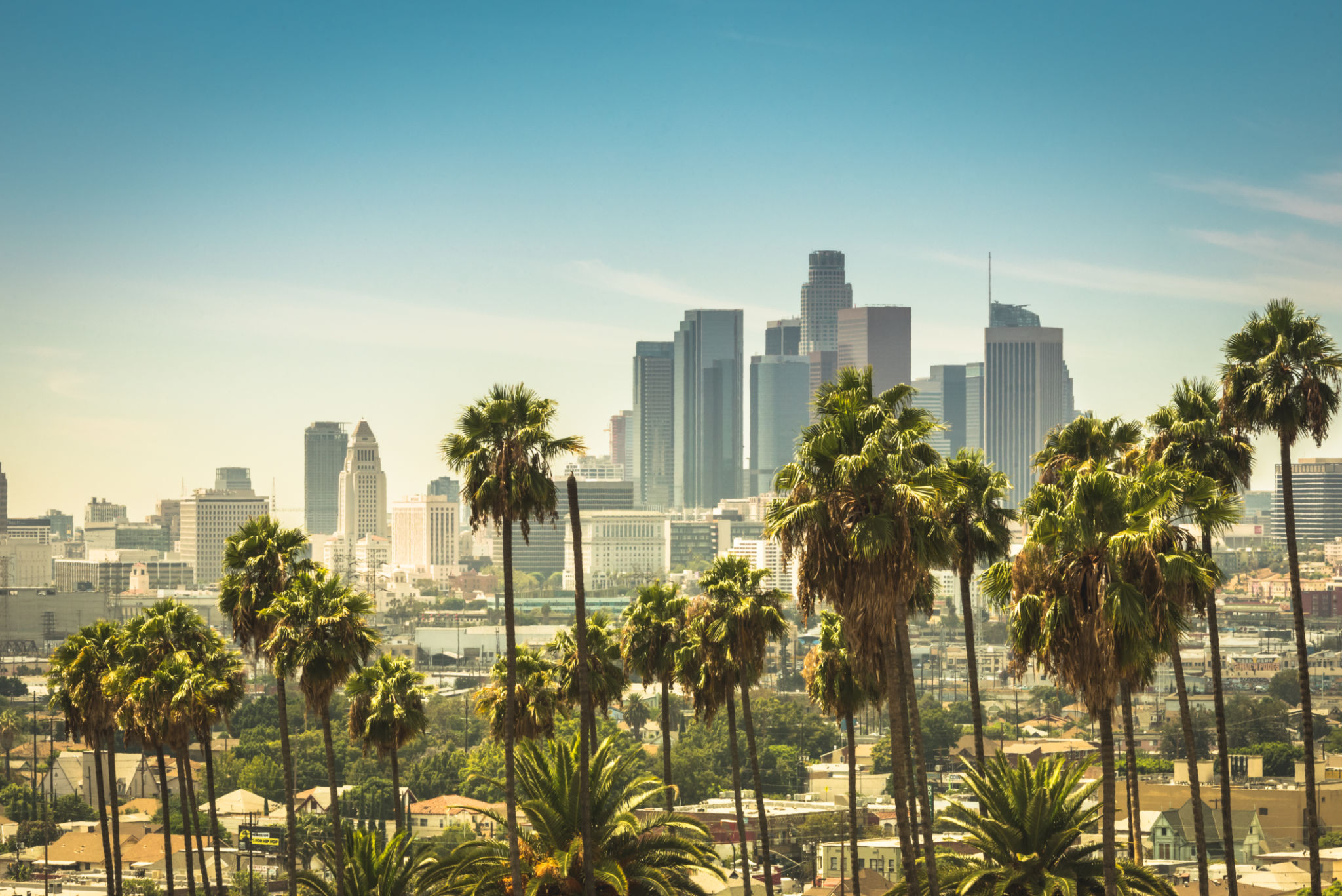 los angeles creativity