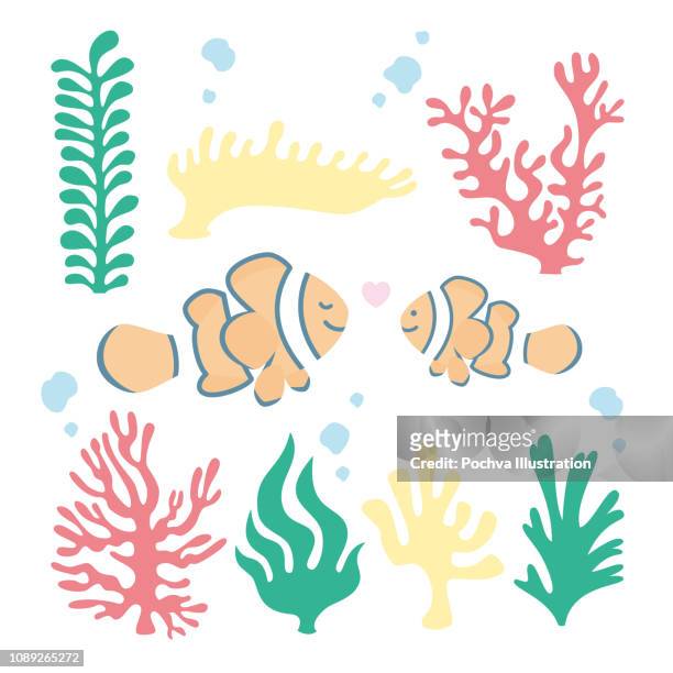 stockillustraties, clipart, cartoons en iconen met clown vis en koraal vectorillustratie - algae