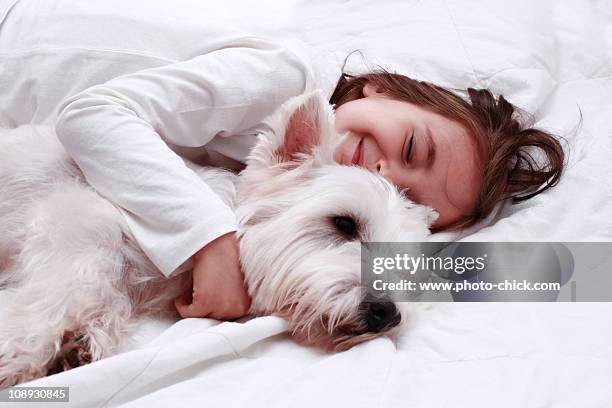 little girl hugs her white dog - west highland white terrier stock pictures, royalty-free photos & images