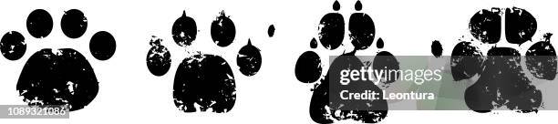 paw prints - cat plain background stock illustrations