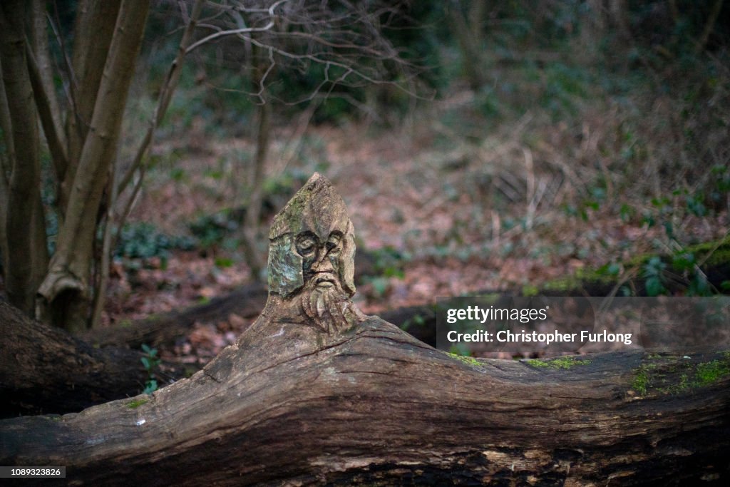 Views Of Moseley Bog Where JRR Tolkien Played As A Child