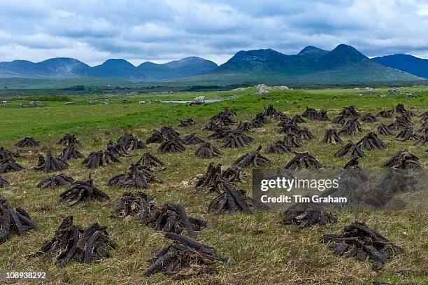 Bog Rows Old Bog Road Photos and Premium High Res Pictures - Getty Images