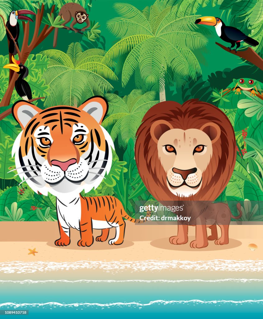 Tiger And Lions In The Beach High-Res Vector Graphic - Getty Images
