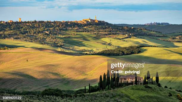 italiaans landschap met de heuveltop stad van pienza in toscane - pienza stockfoto's en -beelden