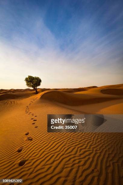 the way out of the desert, sultanate of oman - oman landscape stock pictures, royalty-free photos & images