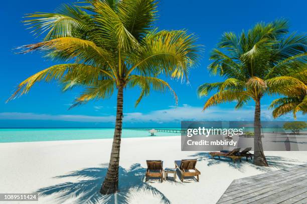 tropisches paradies auf dhiffushi holiday island, süd ari atoll, malediven - malediven stock-fotos und bilder
