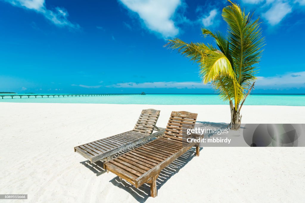 Paraíso tropical en Dhiffushi Holiday island, Atolón Ari Sur, Maldivas