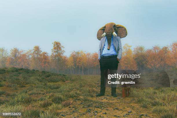 elephant businessman standing in the meadow - satire stock pictures, royalty-free photos & images