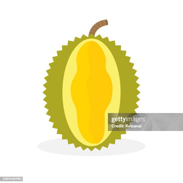 durian fruit - durian stock illustrations